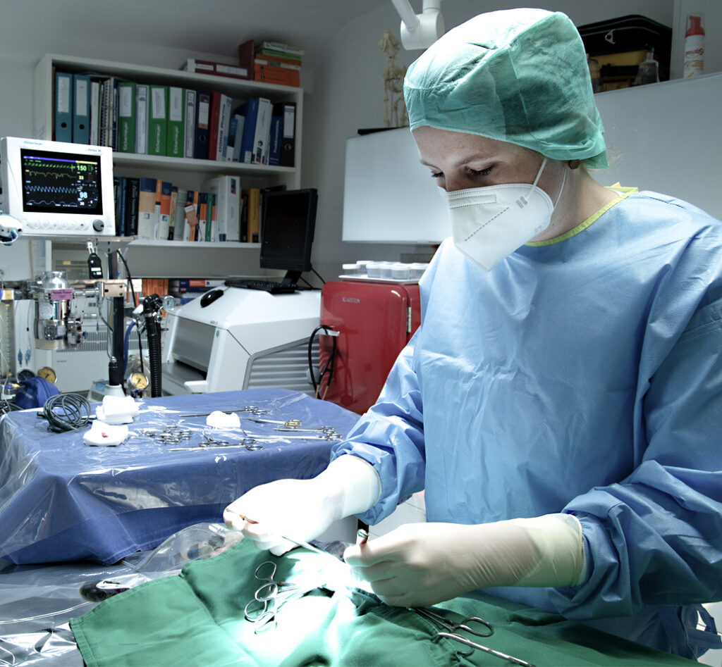 Veterinärmedizinische Operation